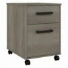 Kathy Ireland Home By Bush Furniture City Park 2 Drawer Mobile File Cabinet In Driftwood Gray - Bush Furniture CPF116DG-03