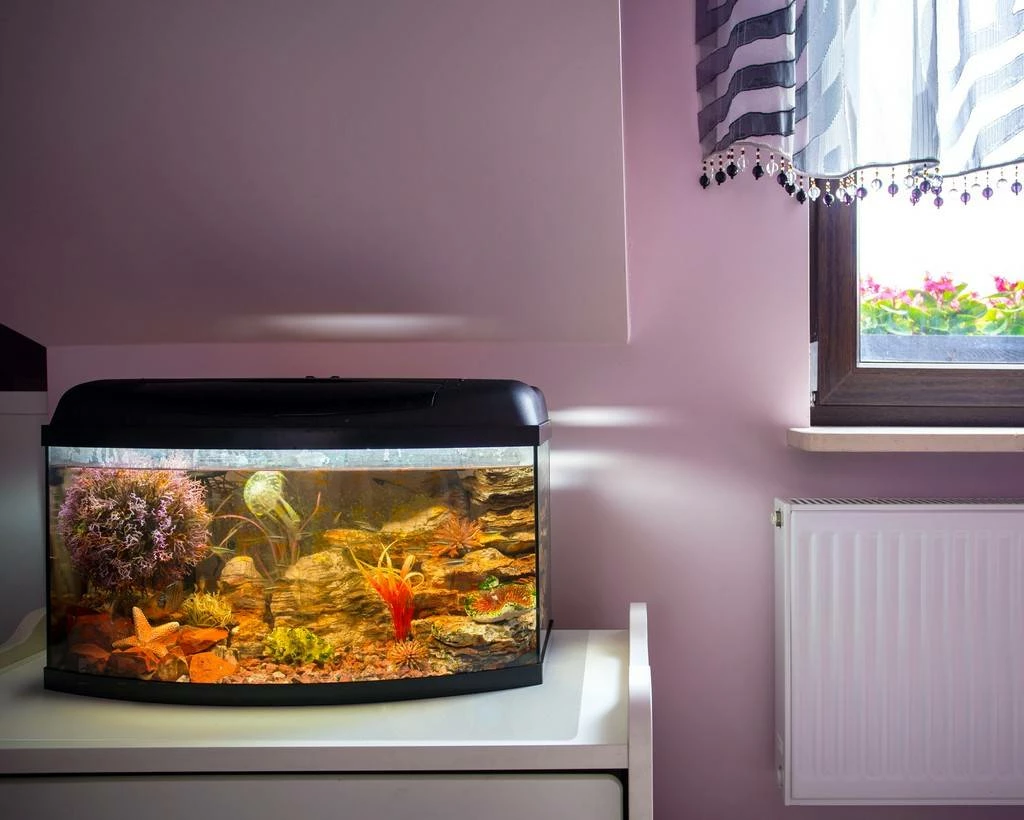 P-Tex Anti-Microbial Pack Of 4 Pet Mats -12" X 18" - Floortex FPPET3046EV4 - Image 2