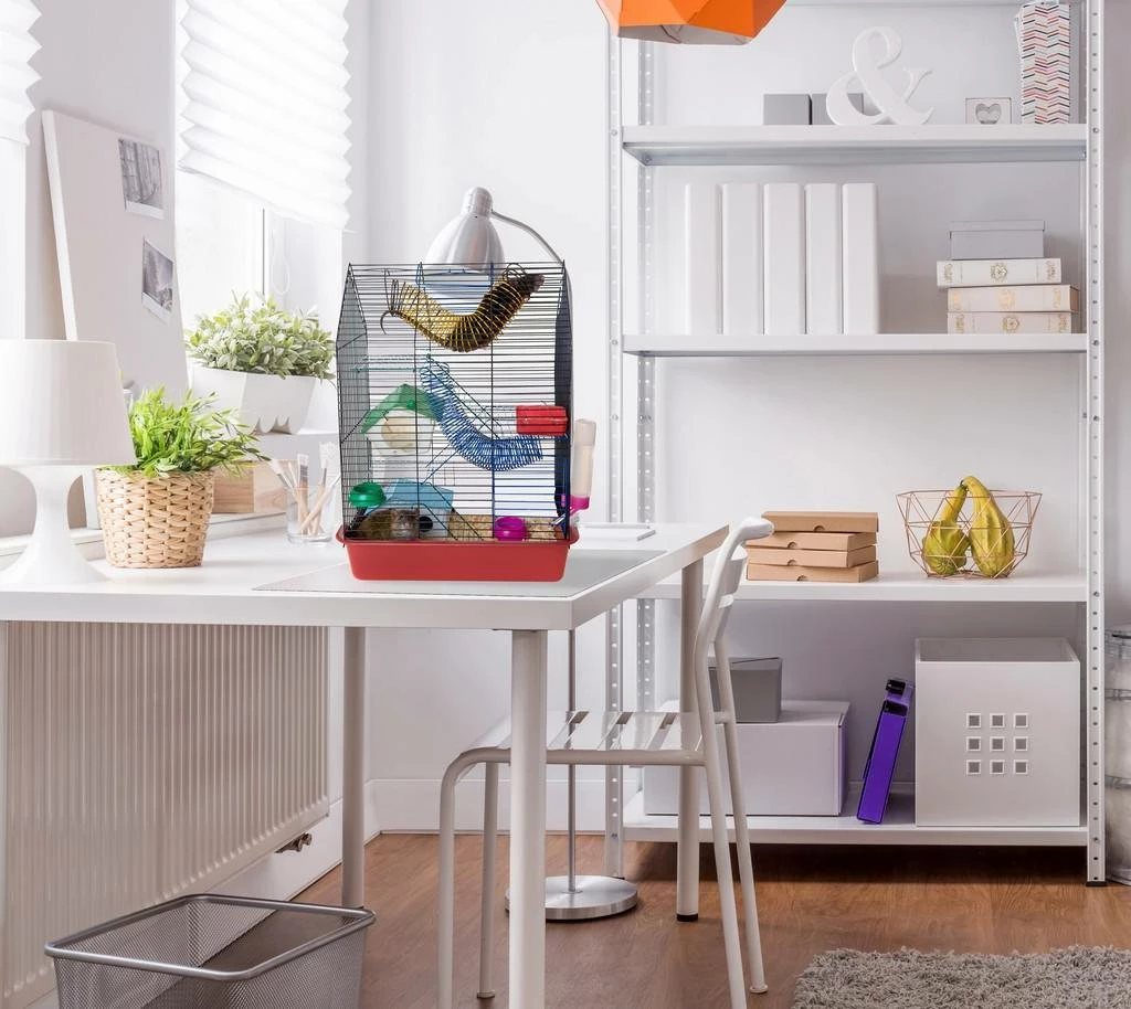 P-Tex Anti-Microbial Pack Of 4 Pet Mats -12" X 18" - Floortex FPPET3046EV4 - Image 3