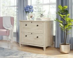 2-Drawer Lateral File Cabinet In Chalk Oak - Sauder 428241