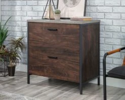 2-Drawer Lateral File Cabinet In Rich Walnut - Sauder 431211