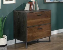 Canton Lane 2-Drawer Lateral File Cabinet In Brew Oak - Sauder 431213
