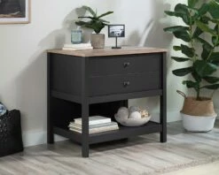 1-Drawer Lateral File Cabinet In Raven Oak - Sauder 431263