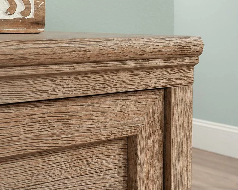 Rollingwood 2-Drawer Lateral File Cabinet In Brushed Oak - Sauder 431438 - Image 4