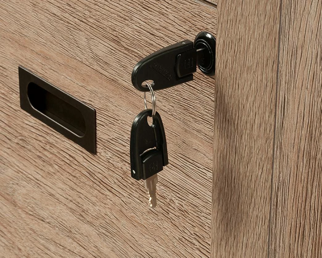 Dixon City 2-Drawer Lateral File Cabinet In Brushed Oak - Sauder 431453 - Image 6