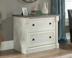 2-Drawer Lateral File Cabinet In Glacier Oak - Sauder 432728