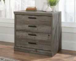 2-Drawer Lateral File Cabinet In Pebble Pine - Sauder 433678