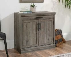 2-Door Storage Cabinet In Pebble Pine - Sauder 433679